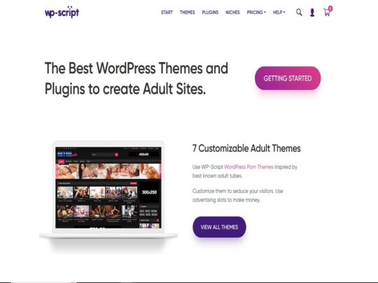 WP-Script review, a site that is one of many popular Porn Tube Scripts